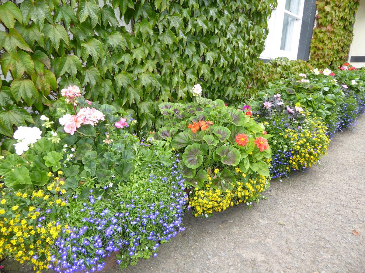 Marykirk Hotel Kültér fotó